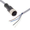 1096027 - CABLE ASSEMBLY M12 4POS 5M