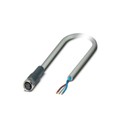 1096052 - CABLE ASSEMBLY M8 3POS 5M