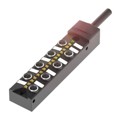 BPI00CM - CONNECTION SLOTS=8X M8X1-FEMALE,