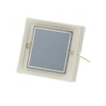 RD-100 - 10X10 MM FULLY DEPLETED, HIGH EN