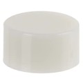 AT496B - CAP PUSHBUTTON ROUND WHITE