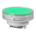 AT4055JF - CAP PUSHBUTTON ROUND CLEAR/GREEN