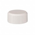 140000470023 - CAP PUSHBUTTON ROUND WHITE