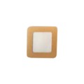 IS-SPA1X1A - OVERLAY 1X1 CN2476 2PK