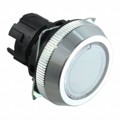 A30NZ-MNA-TWA - CONFIG SW BODY PUSHBUTTON ILLUM