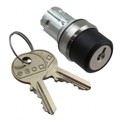 45-2925.2000.111 - KEYLOCK SWITCH ACTUATOR 2 POSITI