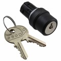 45-2925.1000.111 - KEYLOCK SWITCH ACTUATOR 2 POSITI