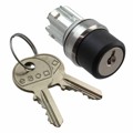 45-290Z.2000.113 - KEYLOCK SWITCH ACTUATOR 3 POSITI