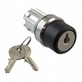 45-2922.2000.113 - KEYLOCK SWITCH ACTUATOR 3 POSITI