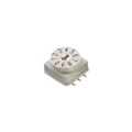 428521520811 - SW ROTARY DIP BCD COMP 150MA 24V