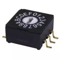 RDS-10S-1055-SMT - ROTARY DIP SWITCH, 10 X 10 X 5.5