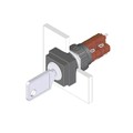 51-256.025D - KEYLOCK SWITCH 2 POSITIONS MAIN