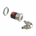 Y101132V203NQ - SWITCH KEYLOCK 2POS SPDT 4A 125V