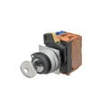 A22NK-2MM-01BA-G100 - SWITCH KEYLCK 2POS SPST 10A 120V