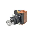 A22NK-2BM-01BA-G102 - SWITCH KEYLCK 2POS DPST 10A 120V
