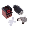 A22TK-2LR-03-K03 - SWITCH KEYLCK 2POS 3PST 10A 110V