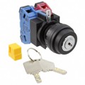 SG-D1-2A11 - SWITCH KEYLCK 2POS DPST 10A 110V