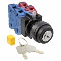 SG-D1-2A22 - SWITCH KEYLCK 2POS 4PST 10A 110V