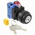 SG-D1-2B11 - SWITCH KEYLCK 2POS DPST 10A 110V