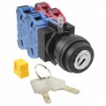 SG-D1-2C22 - SWITCH KEYLCK 2POS 4PST 10A 110V