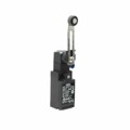 D4N-2A2GR - SWITCH SNAP ACTION DPST 10A 120V