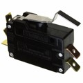 DAT244 - SWITCH SNAP ACTION DPDT LEVER