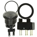 1241.6923.1124000 - SWITCH PUSHBUTTON DPDT 5A 125V