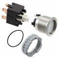 1241.7236.1122000 - SWITCH PUSHBUTTON DPST 12A 250V