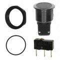 1241.7022.1120000 - SWITCH PUSHBUTTON SPDT 5A 125V