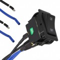 RVWW092D1123 - SWITCH ROCKER DPST 20A 125V