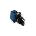A22NS-3BM-NBA-G101-NN - SWITCH SELECT 3POS DPST-NO 10A