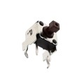ADTSA644NV - SWITCH TACTILE SPST-NO 0.05A 12V